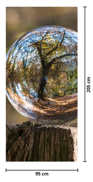 Fototapeta na dveře - Odraz ve skleněné kouli (95x205cm)