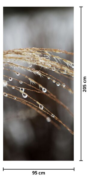 Fototapeta na dveře - Kapky na rostlině (95x205cm)