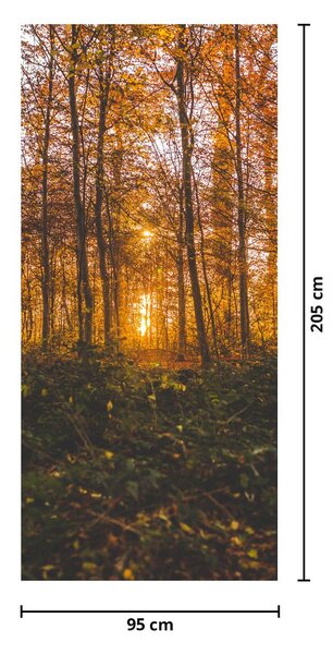 Fototapeta na dveře - Podzimní les (95x205cm)