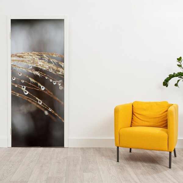 Fototapeta na dveře - Kapky na rostlině (95x205cm)