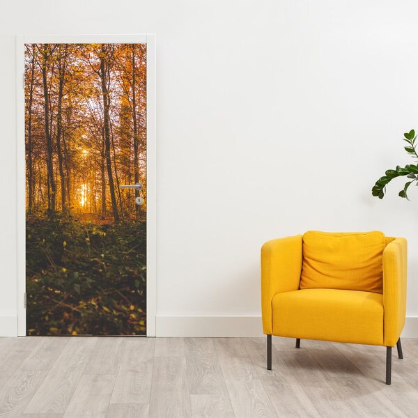 Fototapeta na dveře - Podzimní les (95x205cm)