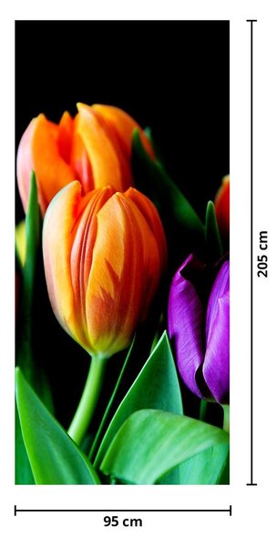 Fototapeta na dveře - Tulipány na černém pozadí (95x205cm)