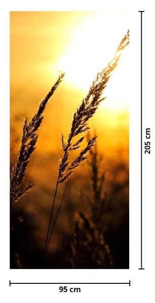 Fototapeta na dveře - Zapadající slunce (95x205cm)