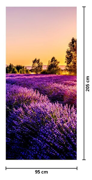 Fototapeta na dveře - Levandulové pole (95x205cm)
