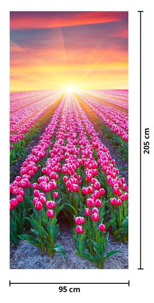 Fototapeta na dveře - Pole tulipánů se sluncem (95x205cm)