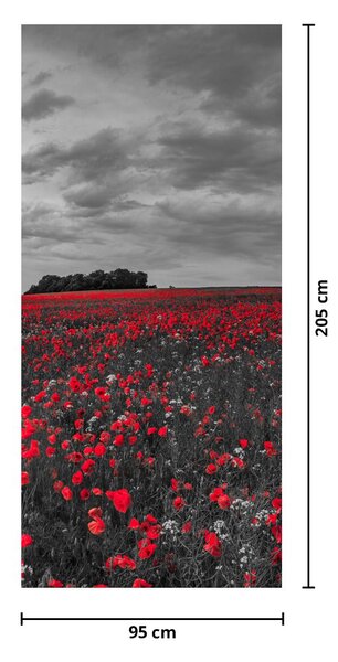 Fototapeta na dveře - Vlčí máky (95x205cm)