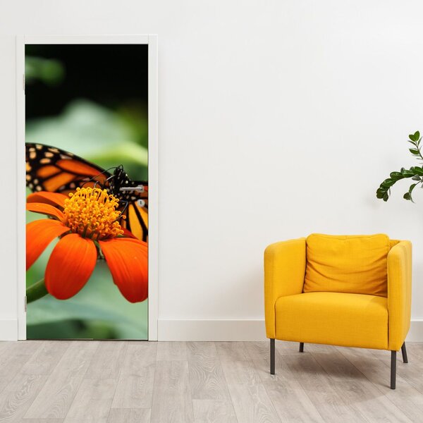 Fototapeta na dveře - Motýl na květině (95x205cm)