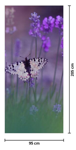 Fototapeta na dveře - Motýl v levandulích (95x205cm)
