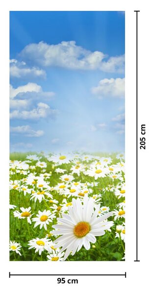 Fototapeta na dveře - Rozkvetlá louka s kopretinami (95x205cm)