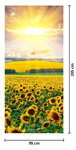 Fototapeta na dveře - Pole Slunečnic (95x205cm)