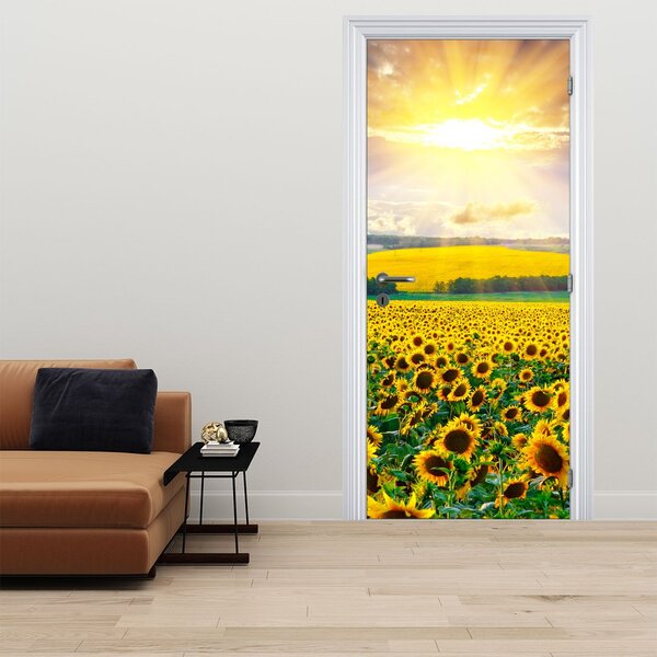 Fototapeta na dveře - Pole Slunečnic (95x205cm)