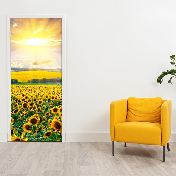Fototapeta na dveře - Pole Slunečnic (95x205cm)