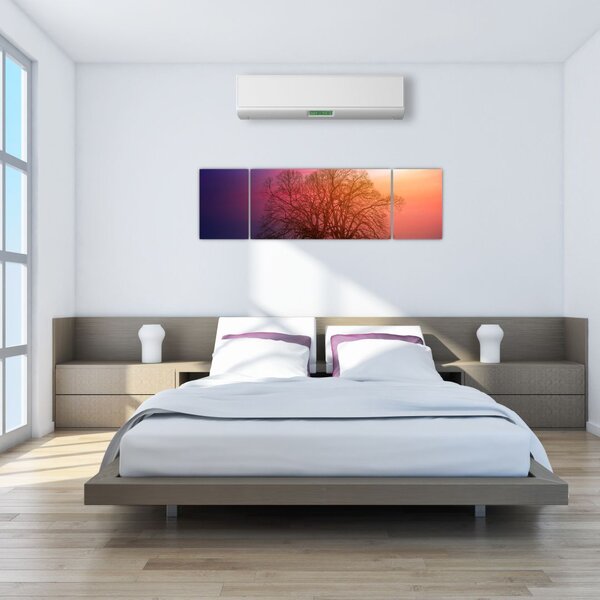 Obraz stromů v mlze (170x50 cm)