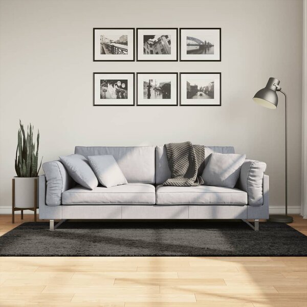 Koberec HUARTE vysokým vlasem lesklý vzhled antracit 100x200 cm