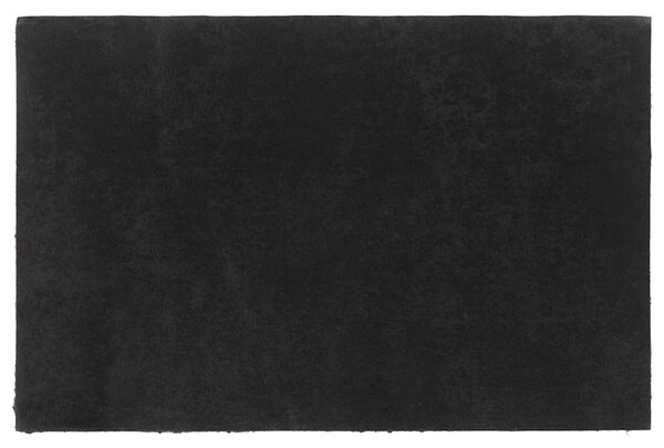 Rohožka před dveře černá 65 x 100 cm kokosové vlákno