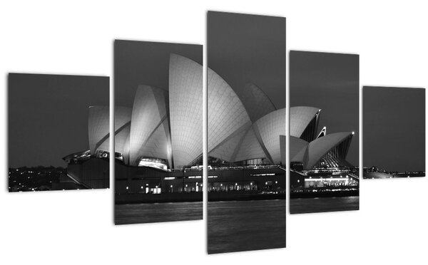 Obraz Opery v Sydney (125x70 cm)