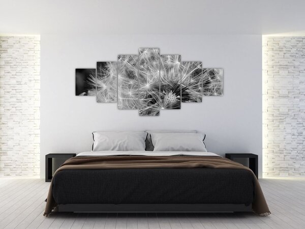 Obraz - chmýří pampelišek (210x100 cm)