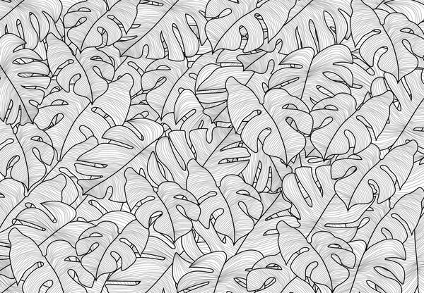 Fototapeta - Monstera listy (245x170 cm)