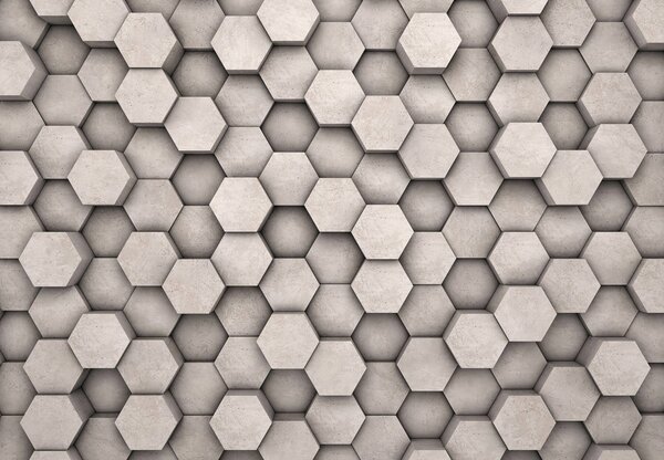 Fototapeta - Hexagony (245x170 cm)