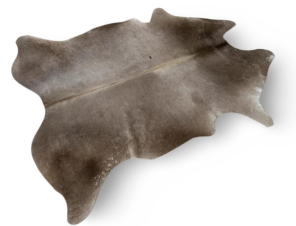 Dekorační hovězí kůže 3,4 m2 champagne 204
