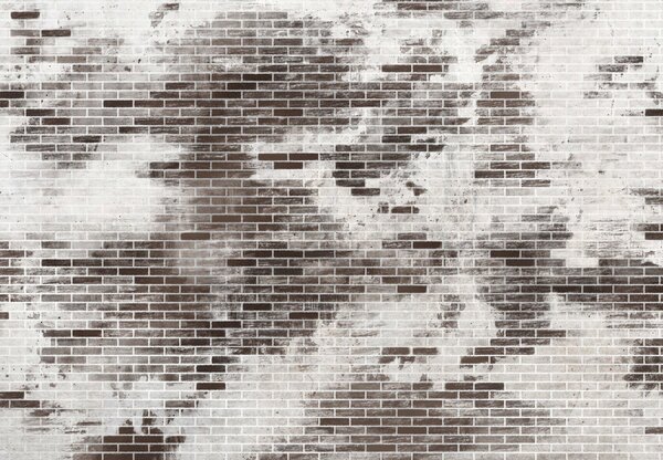 Fototapeta - Cihlová zeď II. (245x170 cm)