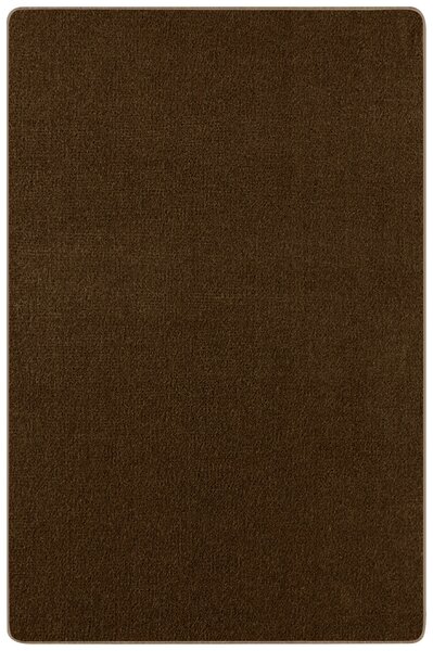 Hanse Home Collection koberce Kusový koberec Nasty 101154 Braun - 200x300 cm