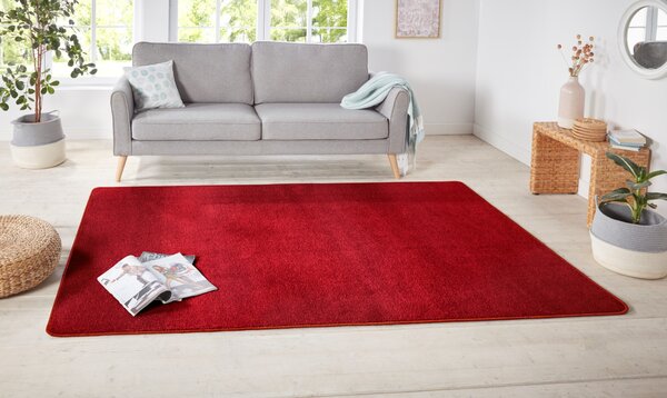 Hanse Home, Kusový koberec Nasty 101151 Rot, 67x120, červená, chodba / předsíň