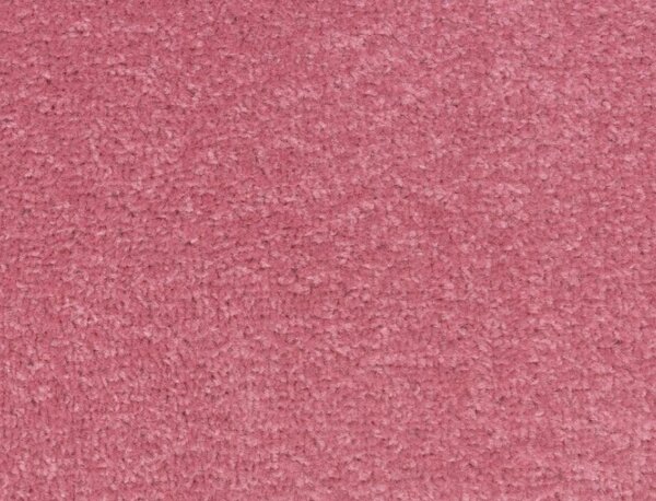 BETAP Metrážový koberec DYNASTY 11 BARVA: Růžová, ŠÍŘKA: 4 m