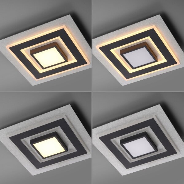 JUST LIGHT. 14439-21 - LED Stropní svítidlo CICHIO LED/18,5W/230V + LED/9W černá