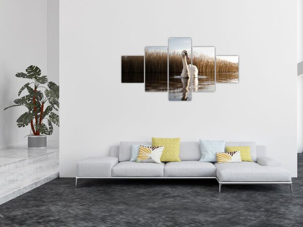 Obraz labutě (125x70 cm)