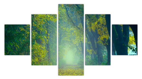 Obraz cesty lemované stromy (125x70 cm)