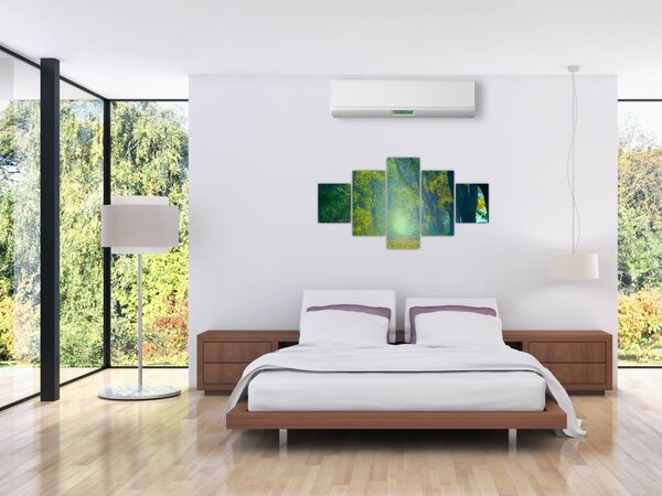 Obraz cesty lemované stromy (125x70 cm)