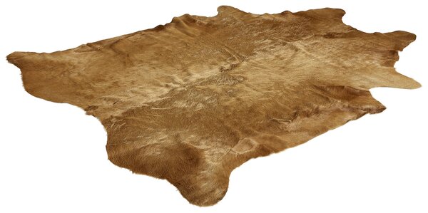 HOVĚZÍ KOŽEŠINA, 160/250 cm, přírodní barvy, béžová Linea Natura - Online Only koberce & rohožky, Online Only