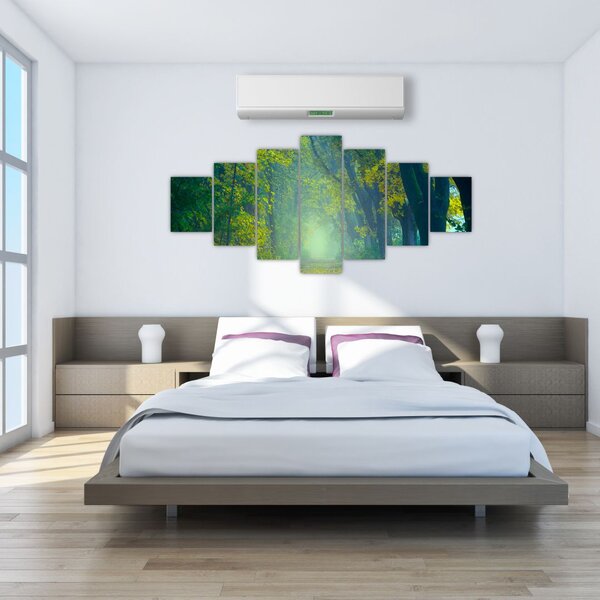 Obraz cesty lemované stromy (210x100 cm)