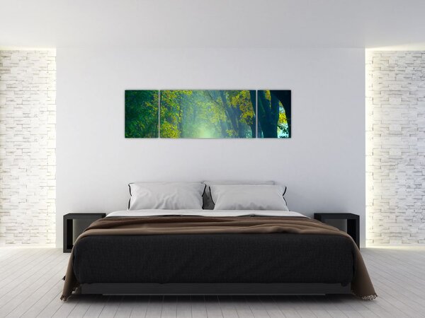 Obraz cesty lemované stromy (170x50 cm)