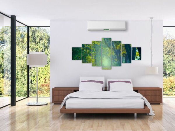 Obraz cesty lemované stromy (210x100 cm)
