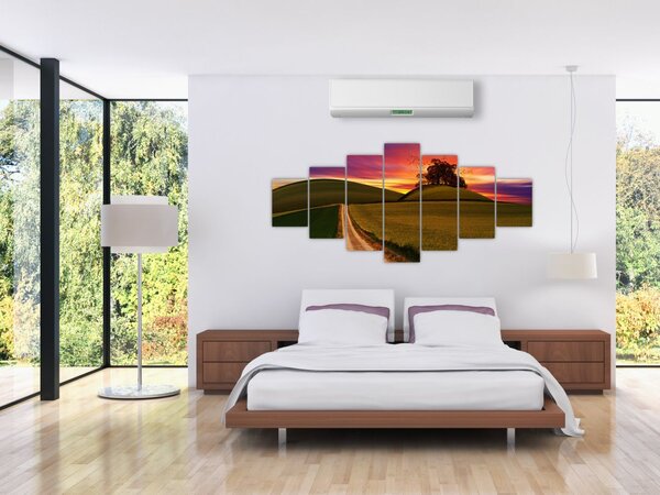Obraz pole se západem slunce (210x100 cm)