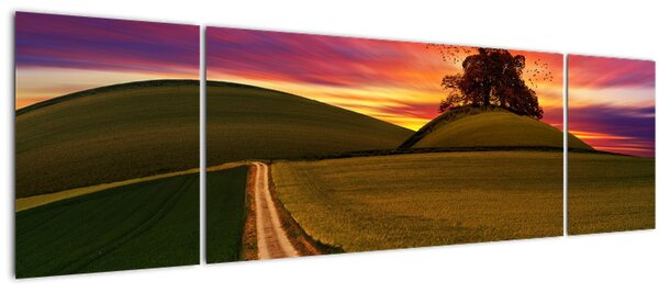 Obraz pole se západem slunce (170x50 cm)