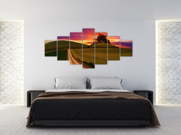 Obraz pole se západem slunce (210x100 cm)