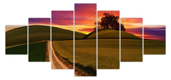 Obraz pole se západem slunce (210x100 cm)