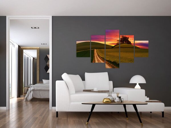 Obraz pole se západem slunce (125x70 cm)