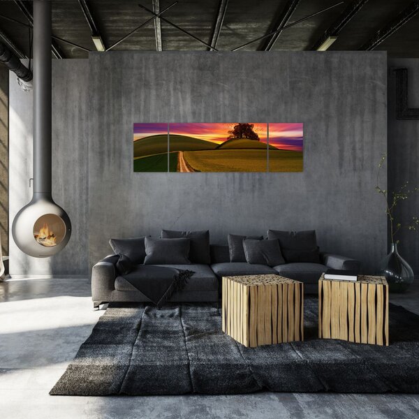 Obraz pole se západem slunce (170x50 cm)