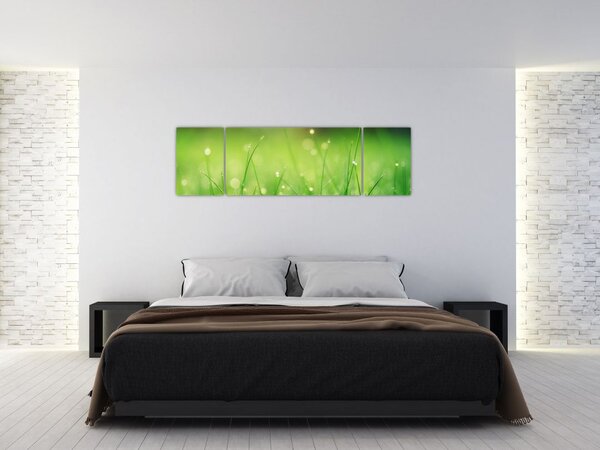 Obraz - rosa na trávě (170x50 cm)