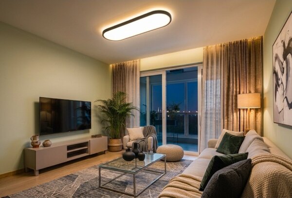 Top Light -LED Stropní přisaz závěsné svít OVAL LED/36W/230V 3000-6500K černá+DO