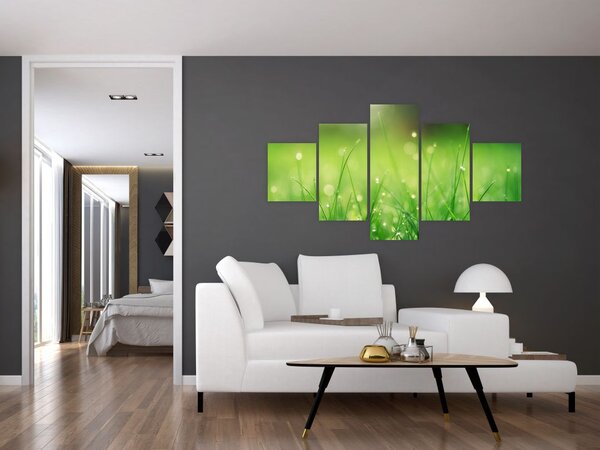 Obraz - rosa na trávě (125x70 cm)