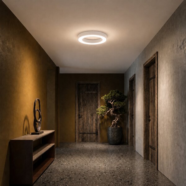 Immax NEO PASTEL SLIM Smart stropní svítidlo 60 x 7cm 53W bílé Zigbee 3.0