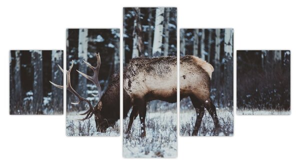 Obraz - jelen v zimě (125x70 cm)