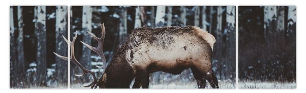 Obraz - jelen v zimě (170x50 cm)
