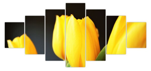 Obraz tulipánů (210x100 cm)