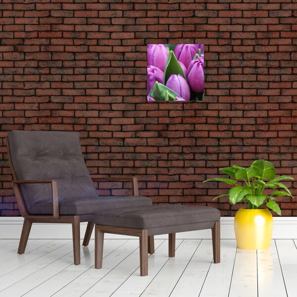 Obraz - květy tulipánů (30x30 cm)